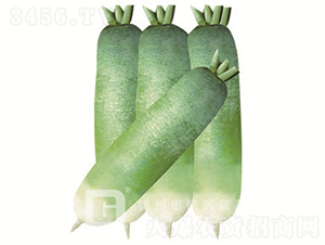 ˮ���}��-�¸���-�}���N��-�¸߷N�I