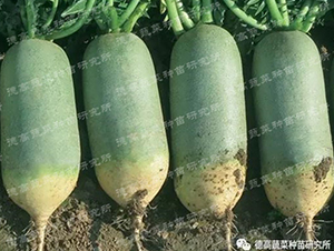 ˮ���}��-���-�}���N��-�¸߷N�I