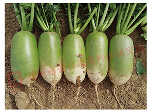 �S�GƤ�}��-�¸߄ٌ��}-�}���N��-�¸߷N�I