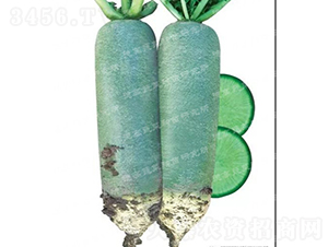 ˮ���}��-����-�}���N��-�¸߷N�I