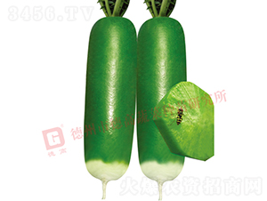 ˮ���}��-���}��-�}���N��-�¸߷N�I