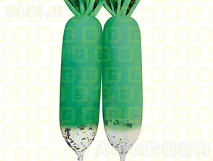 ˮ���}��-�¸ߖ|ɽ-�}���N��-�¸߷N�I