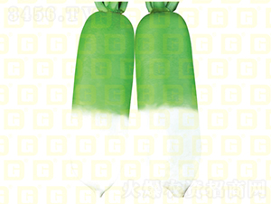 �����}��-�¸ߴ�����-�}���N��-�¸߷N�I