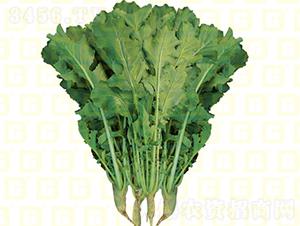 �~���}��-�¸�R460-�}���N��-�¸߷N�I