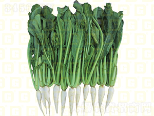 �~���}��-�¸�RS23-�}���N��-�¸߷N�I