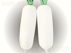 ���}��-�¸߇���-�}���N��-�¸߷N�I