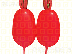 �tƤ�}��-�¸����o�t-�}���N��-�¸߷N�I