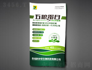 ΢�������-��Z����-�G�����