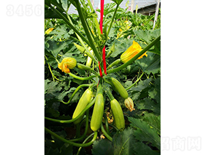 Խ���G��320-�����J�N��-����