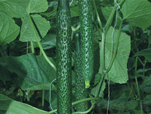 �д�12-18-�S�ϷN��-����