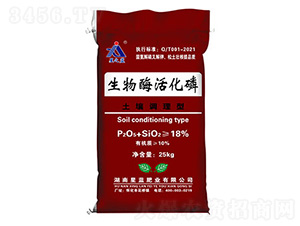 �����{��������ø���-���{�ʘI(y��)