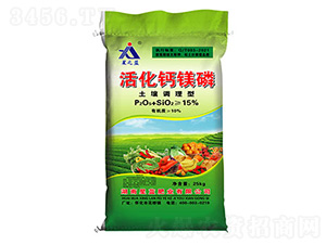 �����{���ͻ�}�V��-���{�ʘI(y��)