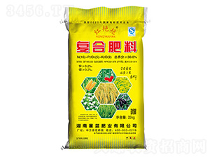 �ͺϷ���16-0-9-�t�G�G-���{�ʘI