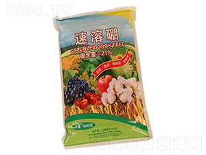 1000��������-�����r�I