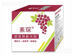 �W���N�����-���-���r(n��ng)�A