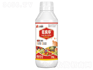 ����ٿ؄�-����ͣ-������