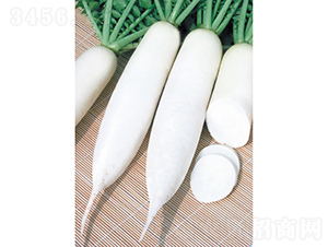 �������-�}���N��-�c�l��ʢ