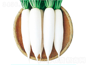 ����-�}���N��-�c�l��ʢ