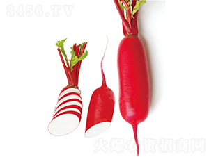 �M���t-�}���N��-�c�l��ʢ