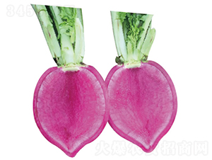 �ϵ�-�}���N��-�c�l��ʢ