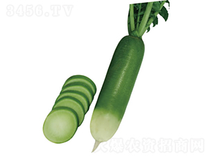 �G��-�}���N��-�c�l��ʢ