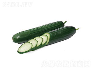 �c�n988-�S�ϷN��-�c�l��ʢ