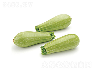 С�`-�����J�N��-�c�l��ʢ