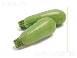 ����-�����J�N��-�c�l��ʢ