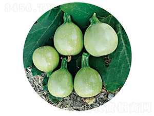 �G��-�����J�N��-�c�l��ʢ