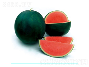 ��ö�o��1̖-���ϷN��-�c�l��ʢ