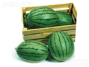 ��ͯľ-���ϷN��-�c�l(f��)��ʢ