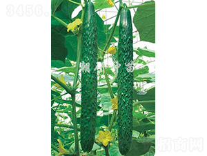 ����108-�S�ϷN��-���зN��