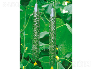 ����202-�S�ϷN��-���зN��