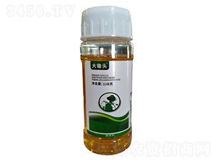 �����@��@�}-���z�^-��ʩ��