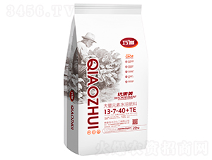 ����������Ԫ��ˮ�ܷ���13-7-40+TE-��׷-��������