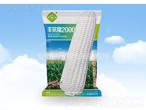 �S��Ŵ2000-�Ƙ��N�I