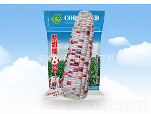 紫甜糯8號-科樂種業