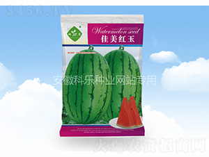 佳美紅玉-科樂種業