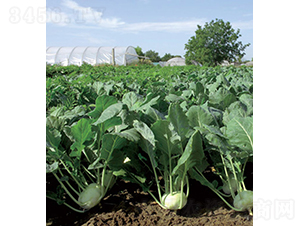 ������32-54��-�}���N��-���r�r�I