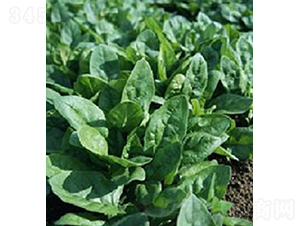 �ǻ�143-���˷N��-���r�r�I