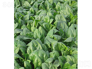 �ǻ�132-���˷N��-���r�r�I