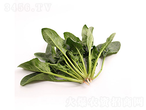 �ǻ�126-���˷N��-���r�r�I