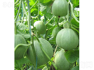 �������-��˷N��-���r�r�I