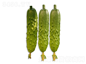 ���r�G��2̖-�S�ϷN��-���r�r�I