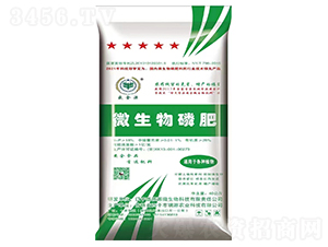 �ͺ�΢�����-ʢ��Դ