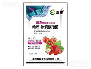 ���ġ��������߾�-�䳲-���r����