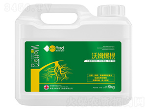 沃姆爆根-沃姆康