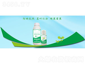 �`�`�����o������Ԫ�ط���-��������