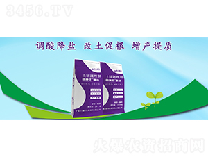 �＝ʿ�����������{�턩-��������