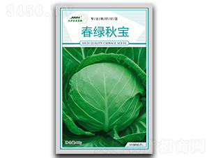 ���G�-���{�N��-��ľï��